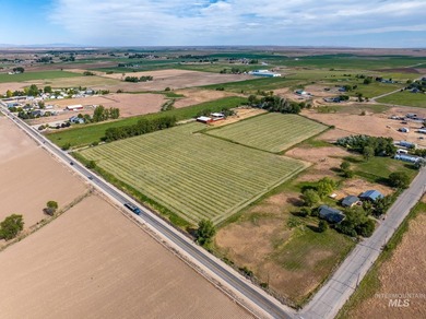 Opportunities abound with this Farm & Ranch property. Property - photo 11