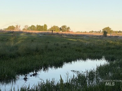 Opportunities abound with this Farm & Ranch property. Property - photo 18