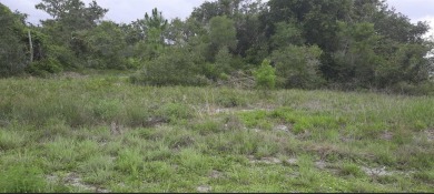 Lake Lot For Sale in Indian Lake Estates, Florida