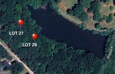 Lake Lot For Sale in Cleveland, Georgia