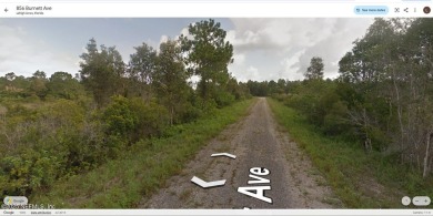 Lehigh Acres Area Lot For Sale in Lehigh Acres Florida