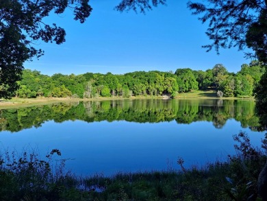 Lake Lot For Sale in Fruitland Park, Florida