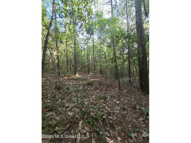 Tucked away off Hamilton Road in Prentiss, this beautiful 14 - photo 11