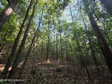 Tucked away off Hamilton Road in Prentiss, this beautiful 14 - photo 12