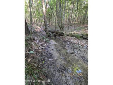 Tucked away off Hamilton Road in Prentiss, this beautiful 14 - photo 13