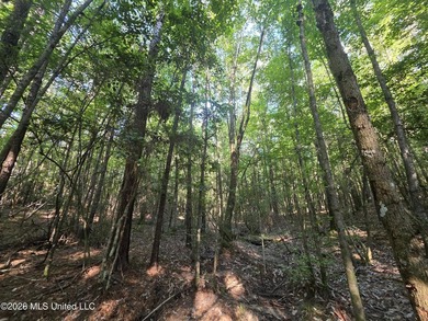Tucked away off Hamilton Road in Prentiss, this beautiful 14 - photo 15