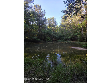 Tucked away off Hamilton Road in Prentiss, this beautiful 14 - photo 17