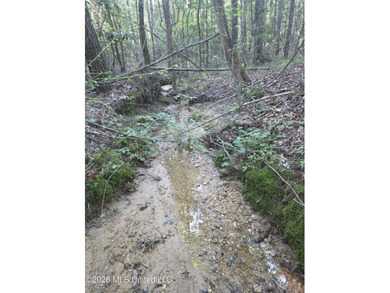 Tucked away off Hamilton Road in Prentiss, this beautiful 14 - photo 18