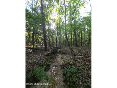 Tucked away off Hamilton Road in Prentiss, this beautiful 14 - photo 19