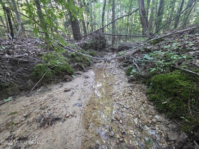 Tucked away off Hamilton Road in Prentiss, this beautiful 14 - photo 20