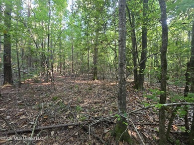 Tucked away off Hamilton Road in Prentiss, this beautiful 14 - photo 21