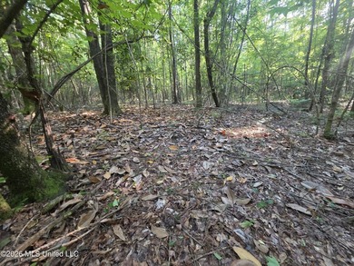 Tucked away off Hamilton Road in Prentiss, this beautiful 14 - photo 22