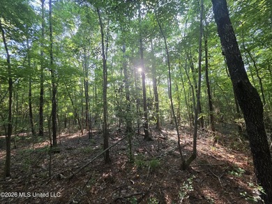 Tucked away off Hamilton Road in Prentiss, this beautiful 14 - photo 23