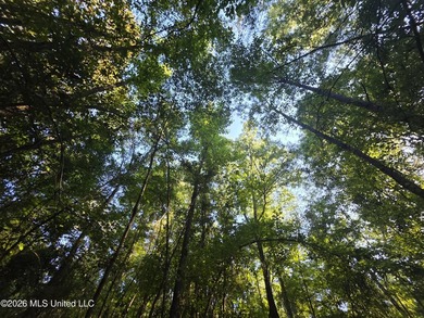 Tucked away off Hamilton Road in Prentiss, this beautiful 14 - photo 24