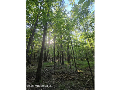 Tucked away off Hamilton Road in Prentiss, this beautiful 14 - photo 25
