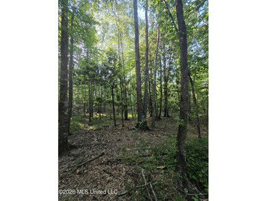 Tucked away off Hamilton Road in Prentiss, this beautiful 14 - photo 26
