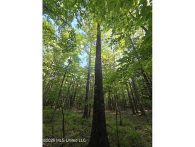Tucked away off Hamilton Road in Prentiss, this beautiful 14 - photo 27
