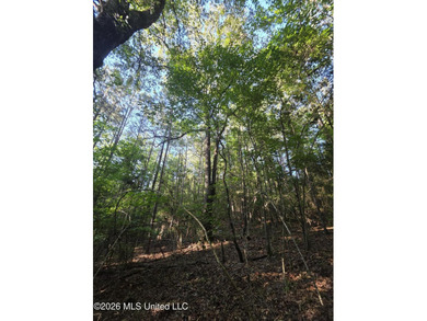 Tucked away off Hamilton Road in Prentiss, this beautiful 14 - photo 30