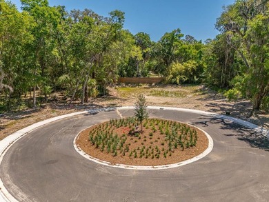 Welcome to The Canopy, a brand-new 25 lot development on - photo 20