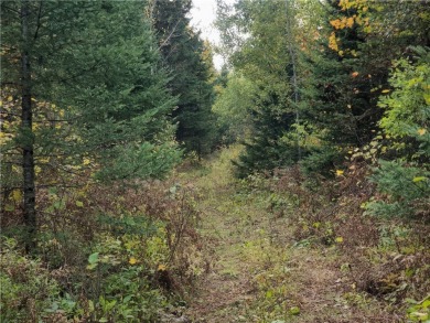 Lake Acreage For Sale in Butternut, Wisconsin