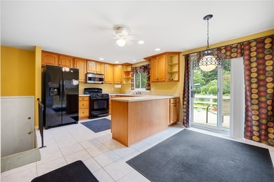 Originally featured as part of Rochester's Homarama Home Show - photo 10
