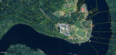 Nestled in the Mountains of East TN and overlooking Watauga Lake - photo 2