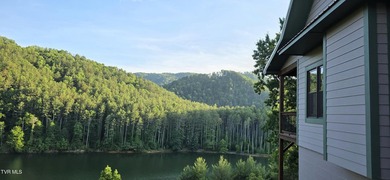 Nestled in the Mountains of East TN and overlooking Watauga Lake - photo 3