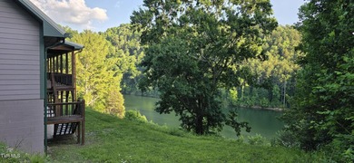 Nestled in the Mountains of East TN and overlooking Watauga Lake - photo 4