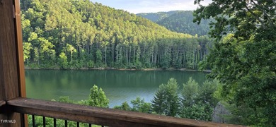 Nestled in the Mountains of East TN and overlooking Watauga Lake - photo 6