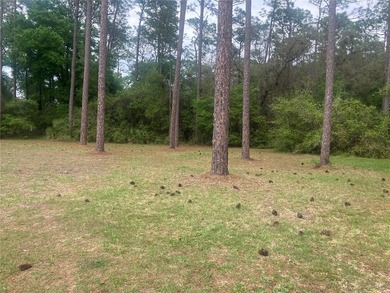 Pre-Construction. To be built. Wow! 2.23 Acres Vacant Lot Zoned - photo 6