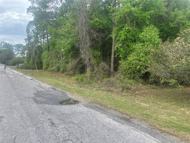 Pre-Construction. To be built. Wow! 2.23 Acres Vacant Lot Zoned - photo 8