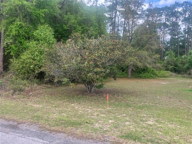 Pre-Construction. To be built. Wow! 2.23 Acres Vacant Lot Zoned - photo 9