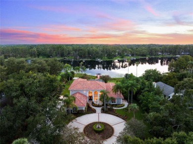 Lake Home For Sale in Lutz, Florida