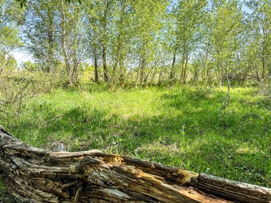 Welcome to Cristo Vista Ranch, an exceptional 820+/- acre large - photo 13