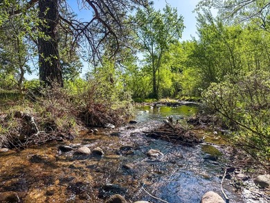 Welcome to Cristo Vista Ranch, an exceptional 820+/- acre large - photo 23