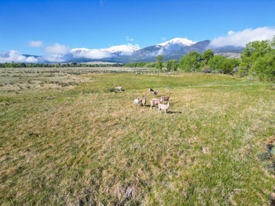 Welcome to Cristo Vista Ranch, an exceptional 820+/- acre large - photo 30