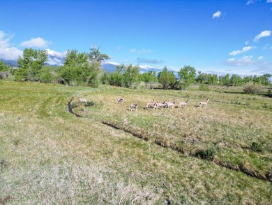 Welcome to Cristo Vista Ranch, an exceptional 820+/- acre large - photo 31