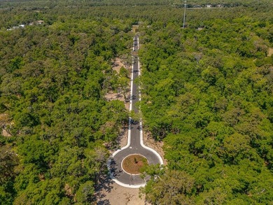 Welcome to The Canopy, a brand-new 25 lot development on - photo 32