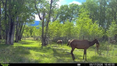 Welcome to Cristo Vista Ranch, an exceptional 820+/- acre large - photo 34