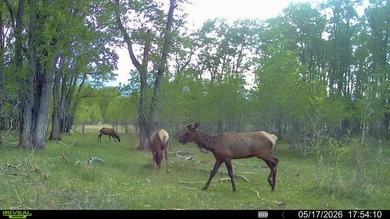 Welcome to Cristo Vista Ranch, an exceptional 820+/- acre large - photo 35