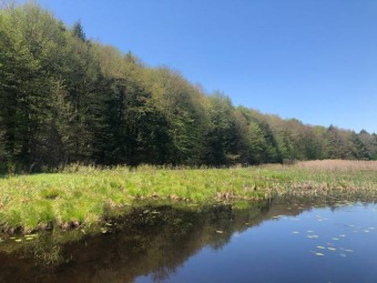 This beautiful, wooded 5-acre lot in Amboy, NY enjoys frontage on - Lake Acreage For Sale in Amboy, New York