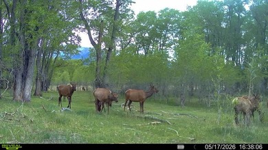 Welcome to Cristo Vista Ranch, an exceptional 820+/- acre large - photo 47