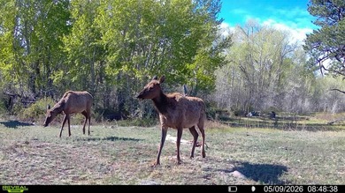 Welcome to Cristo Vista Ranch, an exceptional 820+/- acre large - photo 49