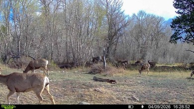 Welcome to Cristo Vista Ranch, an exceptional 820+/- acre large - photo 52