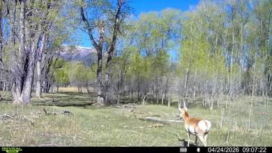 Welcome to Cristo Vista Ranch, an exceptional 820+/- acre large - photo 53