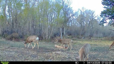 Welcome to Cristo Vista Ranch, an exceptional 820+/- acre large - photo 55