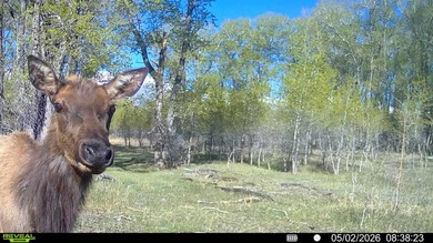 Welcome to Cristo Vista Ranch, an exceptional 820+/- acre large - photo 56
