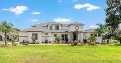 (private lake, pond, creek) Home For Sale in Fruitland Park Florida