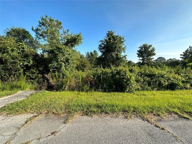 Lake Marion - Polk County Lot Sale Pending in Poinciana Florida