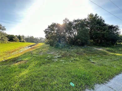 Lake Marion - Polk County Lot For Sale in Kissimmee Florida